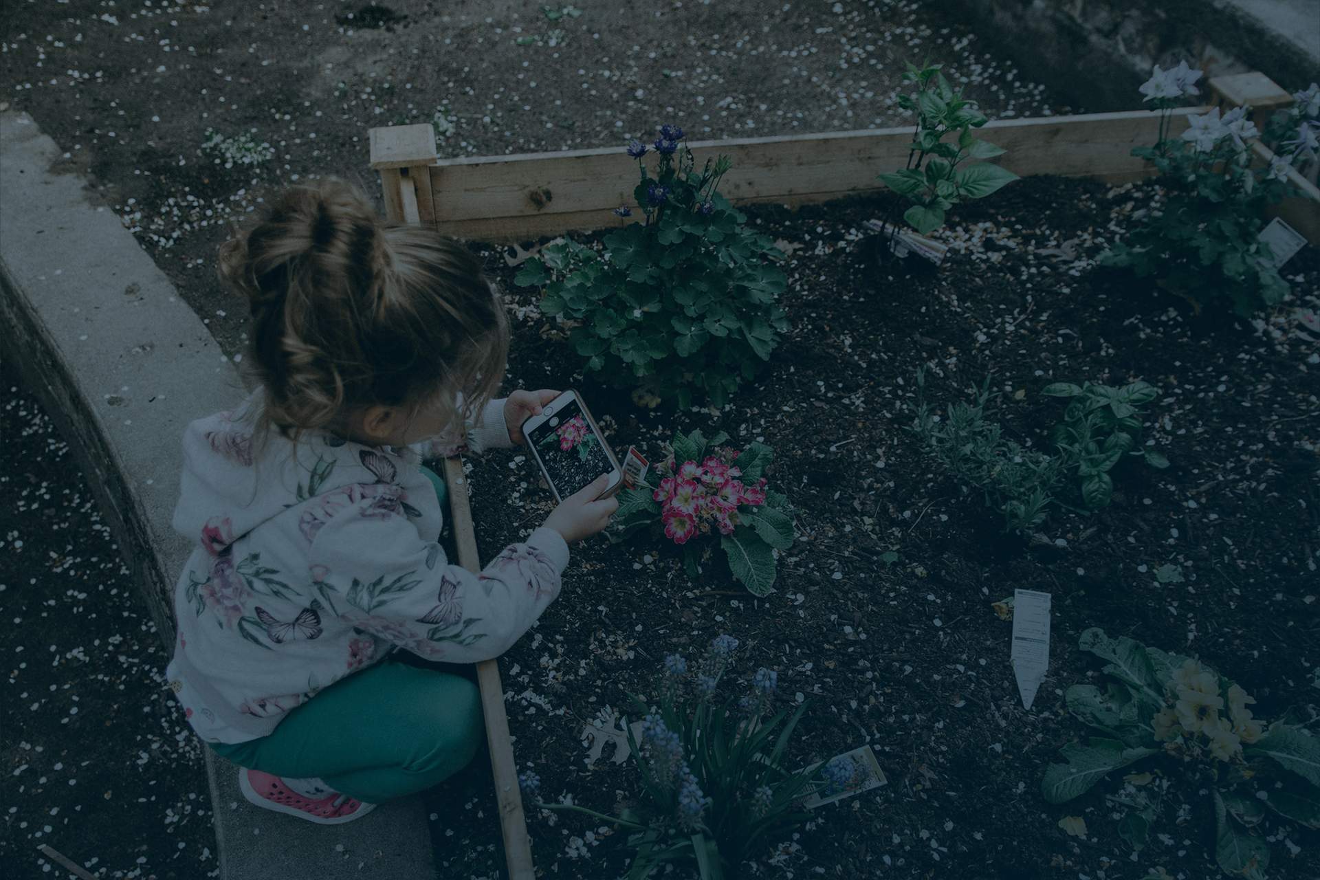 360,000+ people choose flexible and maintenance-free living in build-to-rent communities nationwide.