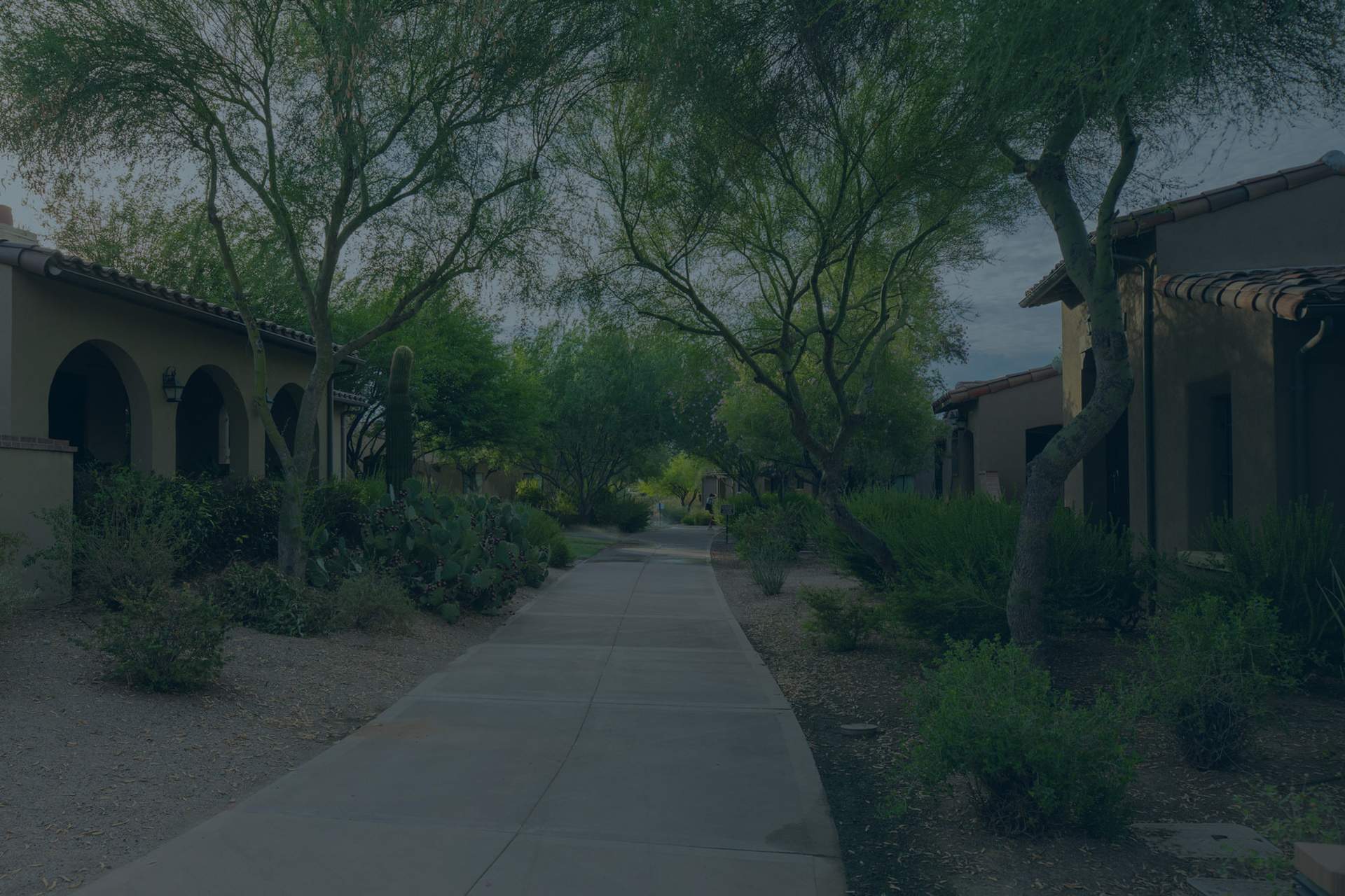 Build-to-rent developers have consistently increased their home deliveries by over 50% annually since 2015, demonstrating remarkable growth in the industry.